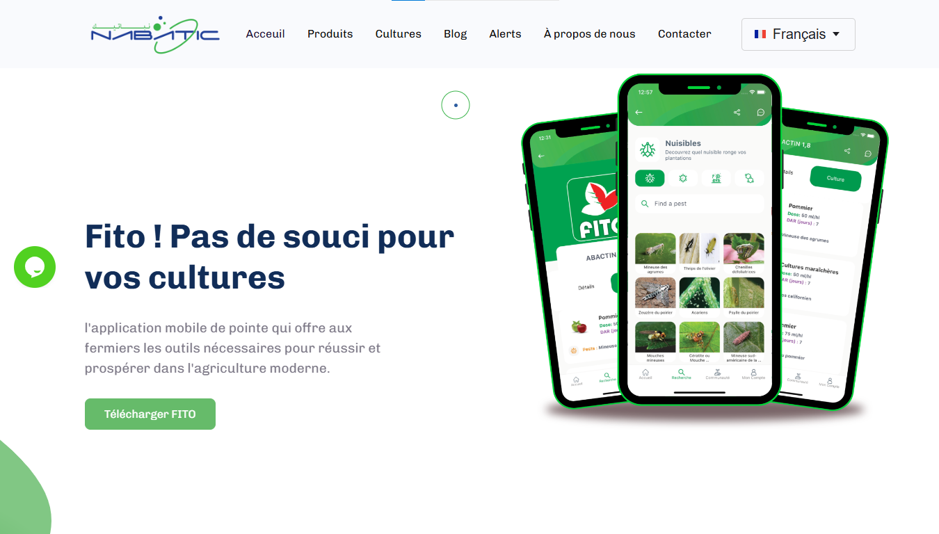 image of nabatic.com website